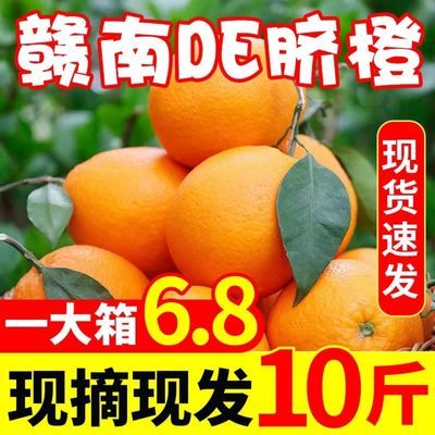 赣南脐橙新鲜10斤装当季水果正宗赣州甜脐橙整箱产地直
