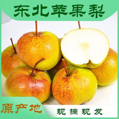 东北特产水果当季新鲜水果延边延吉苹果梨香梨脆梨5斤9斤包邮