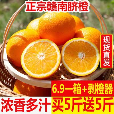 【送剥橙器】江西赣南脐橙新鲜水果试吃2个/5/9斤装包邮现摘现发
