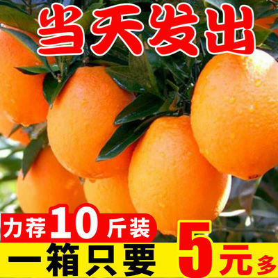 脐橙橙子赣南脐橙水果新鲜应季水果批发一整箱非冰糖橙果冻橙