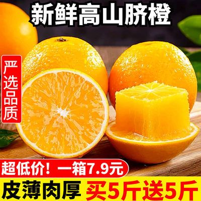 176615/正宗秭归高山夏橙脐橙当季橙子新鲜水果应季酸甜橙非赣南脐橙冰糖