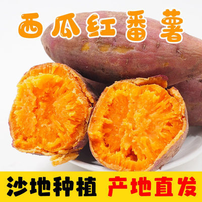 玉乡甜广东湛江西瓜红红薯3/5/9斤装