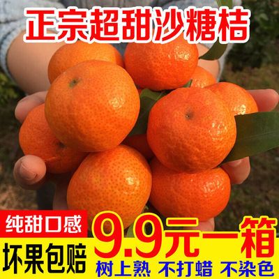 【产地】正宗砂糖橘沙糖桔子2/5/10斤装薄皮当季新鲜水果整箱批发