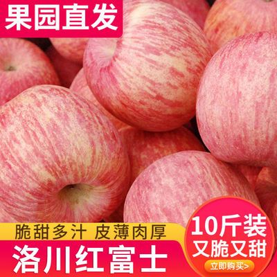 陕西洛川红富士苹果水果脆甜不打蜡冰糖心苹果3/5/10斤一整箱批发