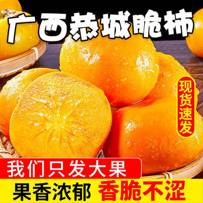106629/广西恭城柿子新鲜脆甜柿子当季水果现摘现发巧克力柿子整箱批发