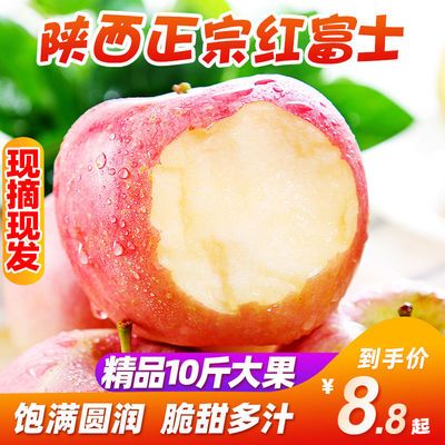 【正品保证】陕西红富士苹果脆甜大果当季新鲜孕妇水果3/10斤批发