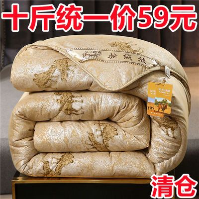 173452/特价驼毛被子被芯加厚冬被双人保暖驼绒被春秋被单人学生宿舍棉被