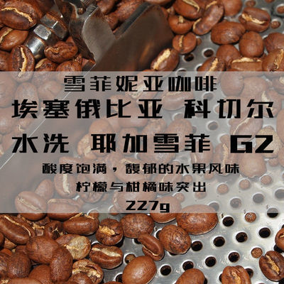 131398/雪菲妮亚埃塞俄比亚耶加雪菲水洗G2精品咖啡豆新鲜烘焙单品227g