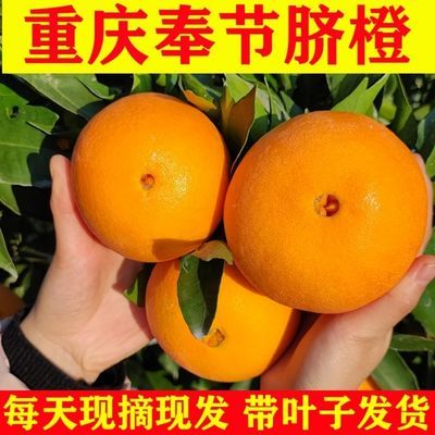 106371/当季现摘奉节脐橙整箱10斤新鲜伦晚孕妇水果重庆甜橙过赣南脐橙