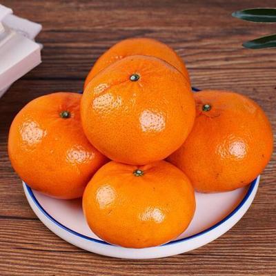 云南沃柑橘子当季新鲜水果超甜薄皮批发包邮