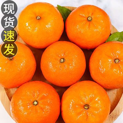 109808/广西武鸣沃柑蜜橘子新鲜水果10/5/3斤大果砂糖当季桔子柑橘整箱