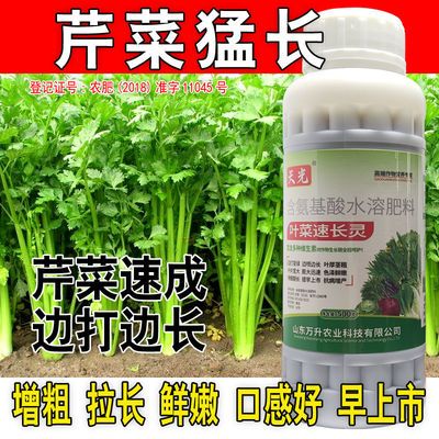 芹菜猛长芹菜专用肥料增粗增白拉长嫩绿西芹通用芹菜速长叶面肥