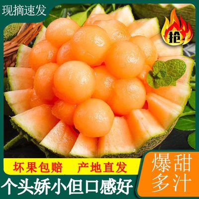 109821/海南哈密瓜西州蜜新鲜水果孕妇当季甜瓜网纹瓜爆甜一整箱批发包邮