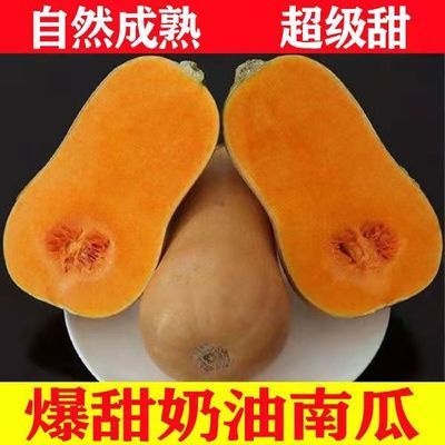 正宗奶油南瓜软糯香甜新鲜老南瓜应季蔬菜宝宝辅食小南瓜贝贝南瓜