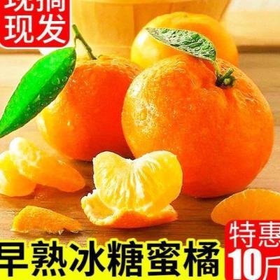 贵州薄皮橘子椪柑酸甜基地直发包邮时令带皮大果正宗原生态农场