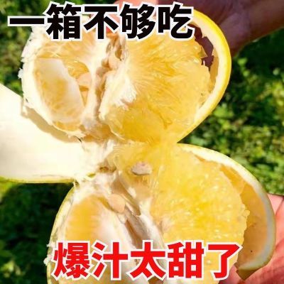 109802/新鲜水果 台湾黄金葡萄 柚纯甜爆汁葡萄柚 现摘孕妇新鲜水果批发