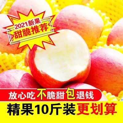 红富士苹果新鲜水果当季应季不打蜡2-10斤整箱批发礼盒装【包邮】