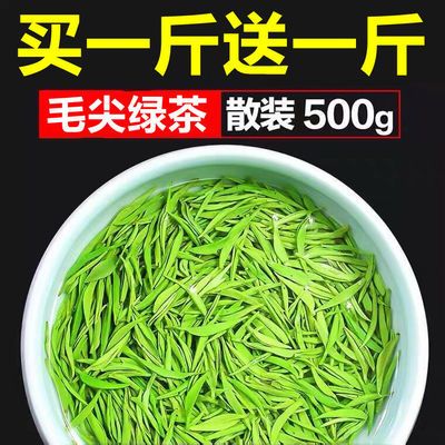 【买一斤送一斤】茶叶毛尖绿茶2024信阳新茶绿茶浓香耐泡高山茶叶