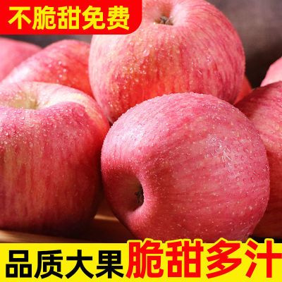 陕西红富士苹果新鲜苹果脆甜多汁水果带皮吃现摘产地直销10斤批发