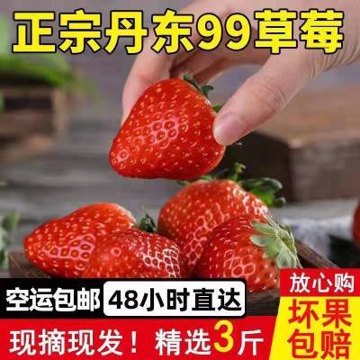【空运】丹东99红颜奶油草莓 2斤3斤尝鲜装 水果直达带箱畸形新鲜