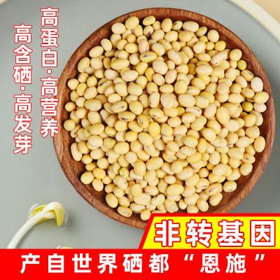 恩施农家本地2024富硒小黄豆豆浆纳豆豆芽非转基因椭圆形老品