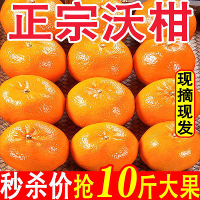 [超级甜]正宗广西武鸣沃柑薄皮橘子当季新鲜应季水果茂谷柑蜜桔子