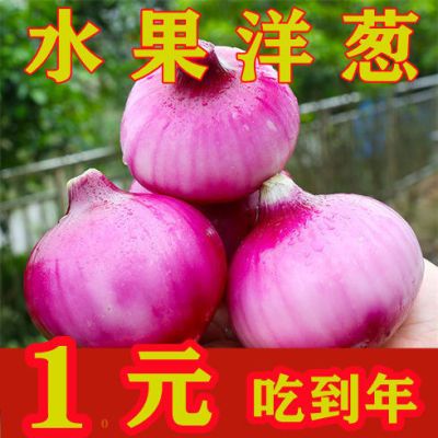 【5斤特价】新鲜水果洋葱圆葱紫皮洋葱农家自种5-6斤洋葱蔬菜