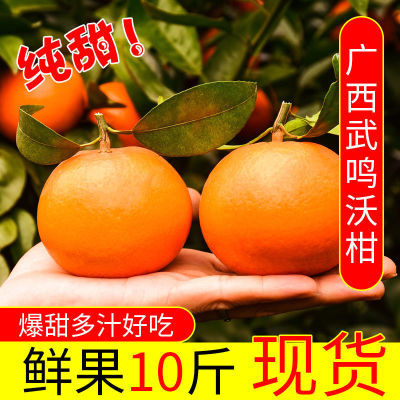 【森优果】广西武鸣沃柑当季新鲜水果超甜橘子薄皮茂谷柑蜜桔子