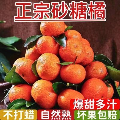 【正宗砂糖橘】广西沙糖桔 沙糖橘砂糖桔子 小橘子水果1/5/