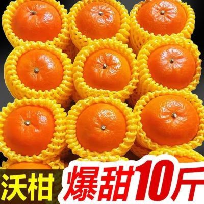 正宗广西武鸣沃柑桔子新鲜水果10斤大果皇帝柑橘当季橘子整箱包