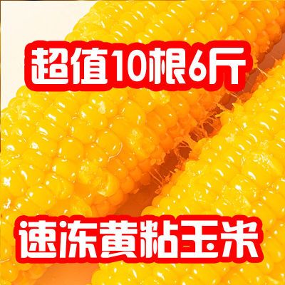 129121/【一等黄糯】东北新鲜糯玉米黄糯玉米棒速冻代餐黄粘玉米