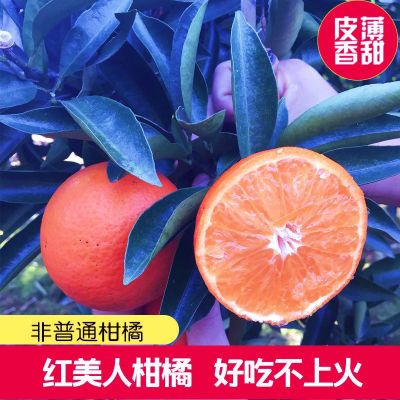 【玫瑰香柑】四川应季新鲜孕妇时令水果罕见稀有香甜水果
