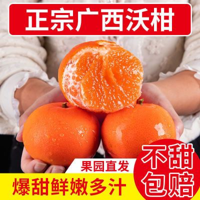 【现摘现发】广西武鸣正宗沃柑超甜薄皮橘子新鲜桔子10/5斤批发