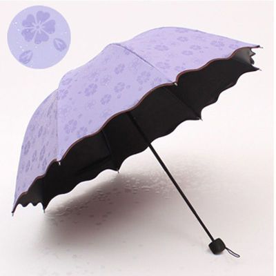 伞雨伞折叠晴雨两用黑胶遇水开花伞定制广告伞印logo