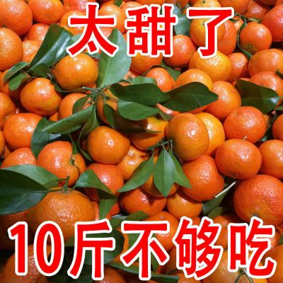 131558/【纯甜无籽】正宗广西砂糖橘新鲜水果薄皮小桔子柑橘砂糖桔5/10斤