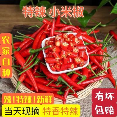 132284/小米椒新鲜现摘特辣朝天椒青辣椒农家自种小尖椒红米辣椒