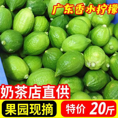 131749/【大特价】广东无籽香水柠檬新鲜一级青皮青柠檬新鲜奶茶店批发
