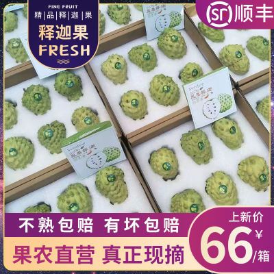 131687/顺丰包邮【凤梨释迦果】云南番荔枝佛头特大果新鲜水果礼盒装送人