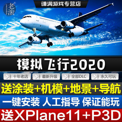 飞机模拟器x Plane 11 模拟飞行11 Lane11 Steam正版pc单机游戏 虎窝拼