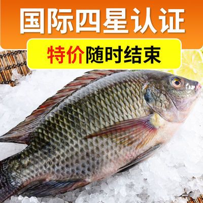 国联水产三去罗非鱼特大去鳞去腮去内脏淡水鱼非洲鲫鱼福寿鱼冷冻