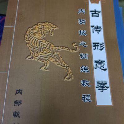 内功核心训练教程《古传形意拳》