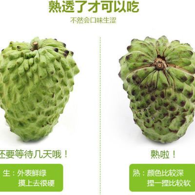 130375/牛奶凤梨释迦果番荔枝香甜软糯当季新鲜水果孕妇水果
