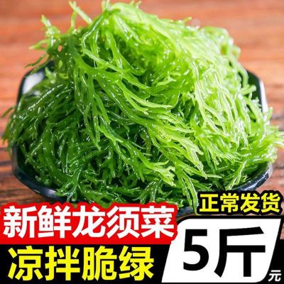 龙须菜凉菜火锅凉拌菜5斤 霞浦新鲜绿色蔬菜头发菜海发菜海藻海