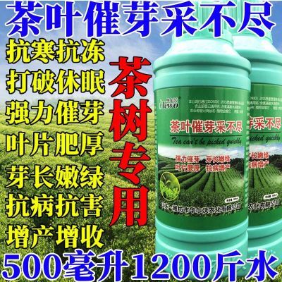 茶叶催芽采不尽多芽嫩芽暴芽增产多 茶树专用叶面肥 茶叶催芽9