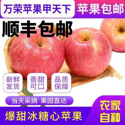 132291/【爆甜超大果王】正宗山西万荣冰糖心丑苹果超大超甜多汁现摘先发