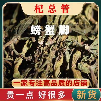 螃蟹脚普洱茶无硫正宗云南景迈山螃蟹脚千年古树寄生茶螃蟹脚茶