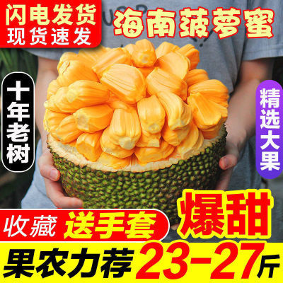 【坏果包赔】海南菠萝蜜一整个新鲜水果批发孕妇当应季热带波萝蜜