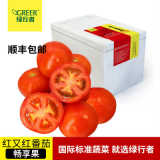 【绿行者】红又红番茄5斤新鲜蔬菜现摘自然熟生吃做菜硬粉西红柿
