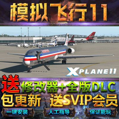 飞机模拟器x Plane 11 模拟飞行11 Lane11 Steam正版pc单机游戏 虎窝拼