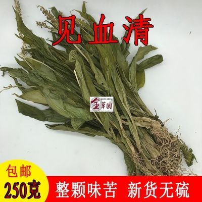 云南见血清 羊耳蒜 见血青 立地好 可磨粉新鲜干货正品包邮中药材